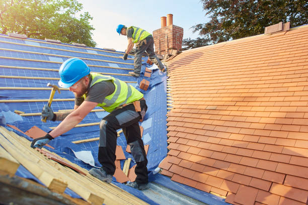 Best Sheet Metal Roofing  in Three Forks, MT